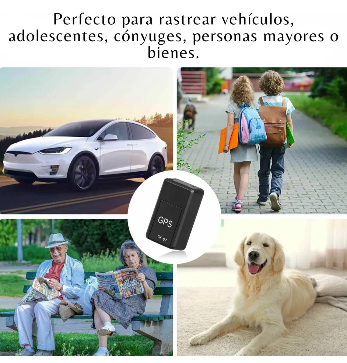GPS INTELIGENTE