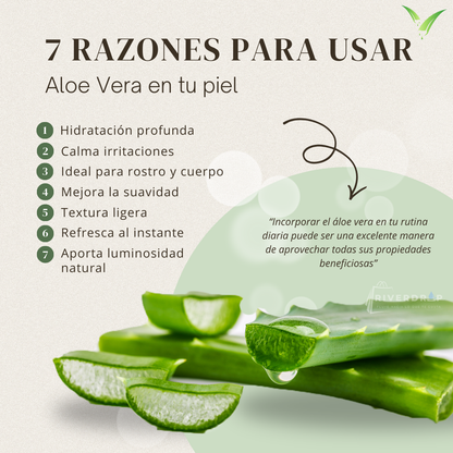 DermAloe™ - Calma la piel seca y restaura su hidratación natural