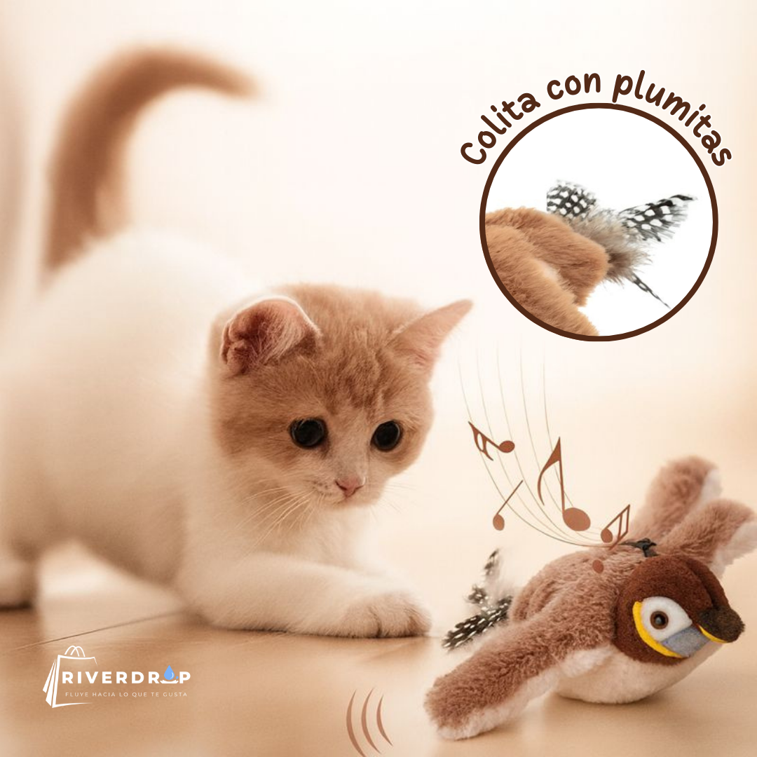 BirdyPlay™ - Instinto, juego y movimiento 🐾